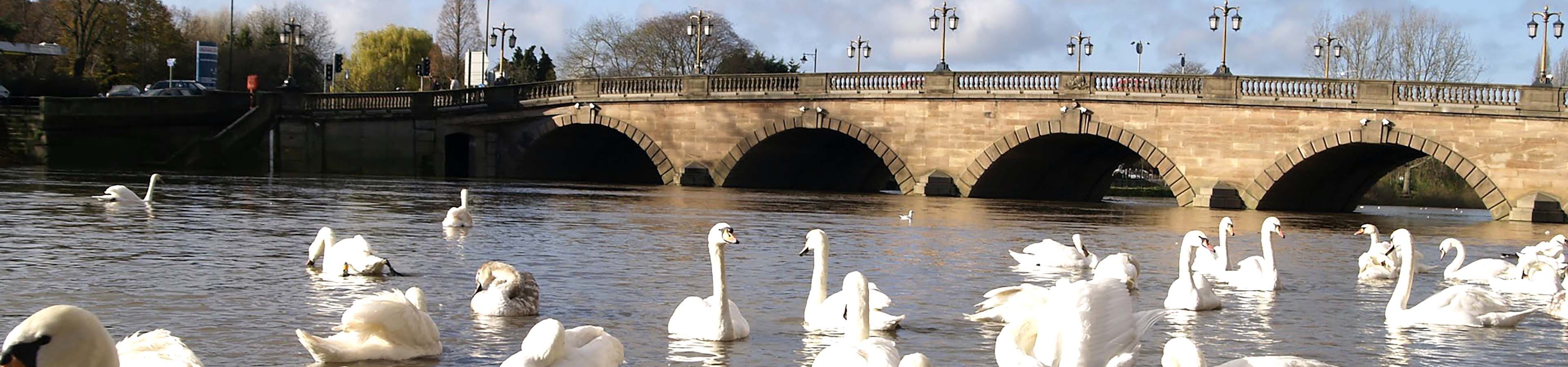 River Severn & Gloucester and Shaprness Canal